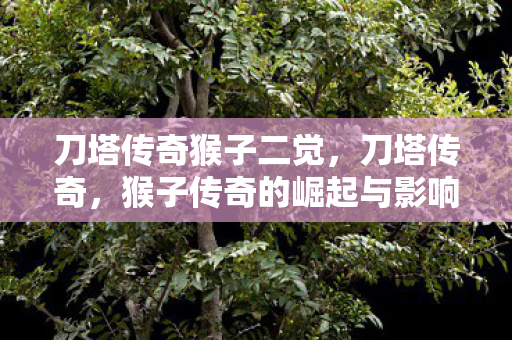 刀塔传奇猴子二觉，刀塔传奇，猴子传奇的崛起与影响