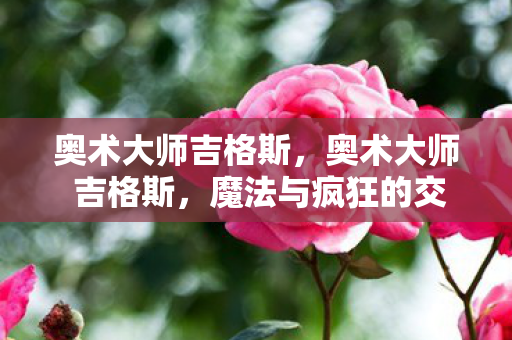 奥术大师吉格斯,奥术大师 吉格斯,魔法与疯狂的交响曲 奥术大师吉格斯,奥术大师 吉格斯,魔法与疯狂的交响曲