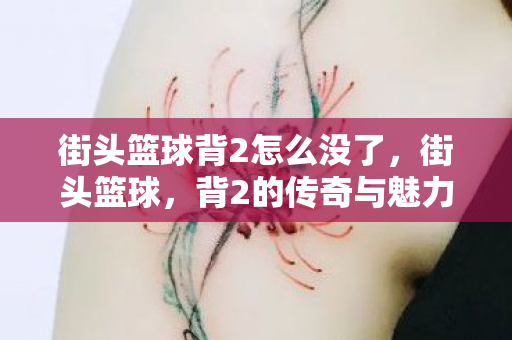 街头篮球背2怎么没了,街头篮球,背2的传奇与魅力 街头篮球背2怎么没了,街头篮球,背2的传奇与魅力