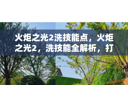 火炬之光2洗技能点,火炬之光2,洗技能全解析,打造个性化角色新体验 火炬之光2洗技能点,火炬之光2,洗技能全解析,打造个性化角色新体验