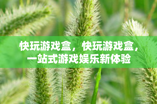 快玩游戏盒，快玩游戏盒，一站式游戏娱乐新体验
