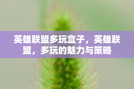 英雄联盟多玩盒子，英雄联盟，多玩的魅力与策略