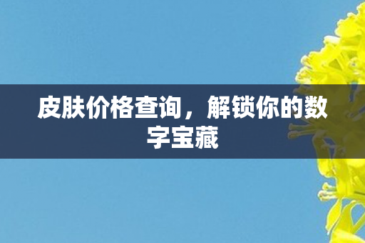 皮肤价格查询，解锁你的数字宝藏
