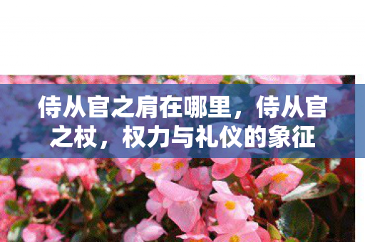 侍从官之肩在哪里,侍从官之杖,权力与礼仪的象征 侍从官之肩在哪里,侍从官之杖,权力与礼仪的象征