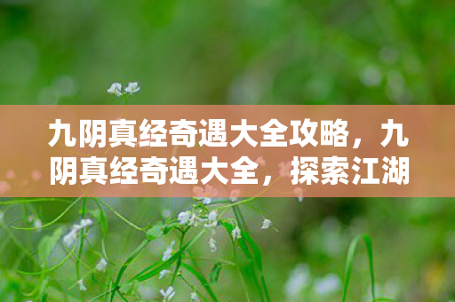 九阴真经奇遇大全攻略，九阴真经奇遇大全，探索江湖的未知与惊喜