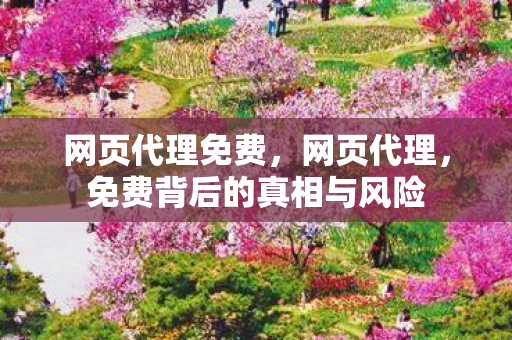 网页代理免费，网页代理，免费背后的真相与风险