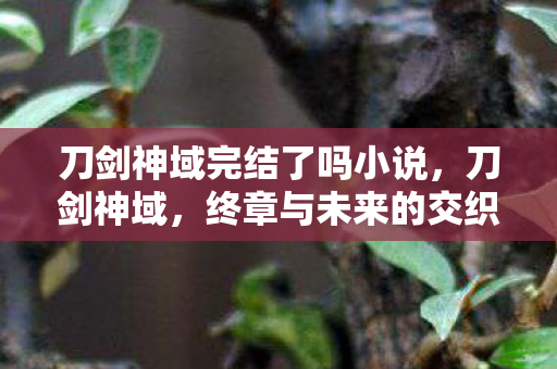 刀剑神域完结了吗小说，刀剑神域，终章与未来的交织