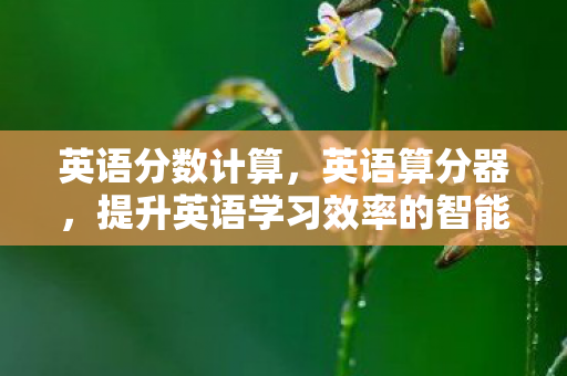 英语分数计算，英语算分器，提升英语学习效率的智能工具
