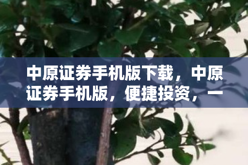 中原证券手机版下载,中原证券手机版,便捷投资,一触即发的金融新体验 中原证券手机版下载,中原证券手机版,便捷投资,一触即发的金融新体验