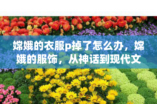 嫦娥的衣服p掉了怎么办，嫦娥的服饰，从神话到现代文化的演变