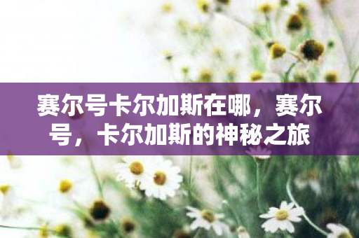 赛尔号卡尔加斯在哪，赛尔号，卡尔加斯的神秘之旅