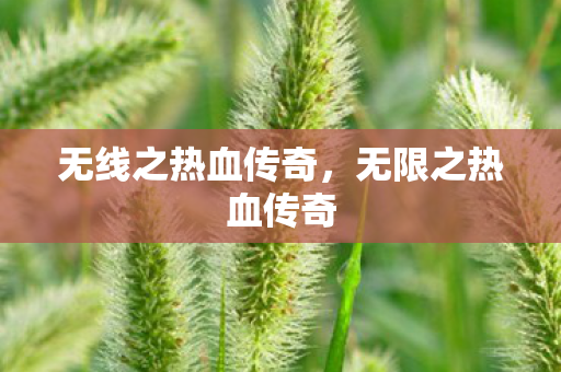 无线之热血传奇，无限之热血传奇