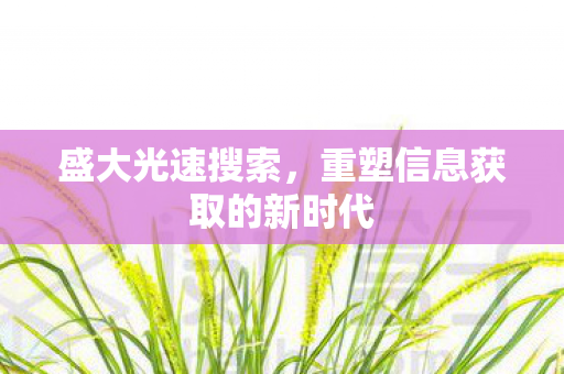 盛大光速搜索，重塑信息获取的新时代