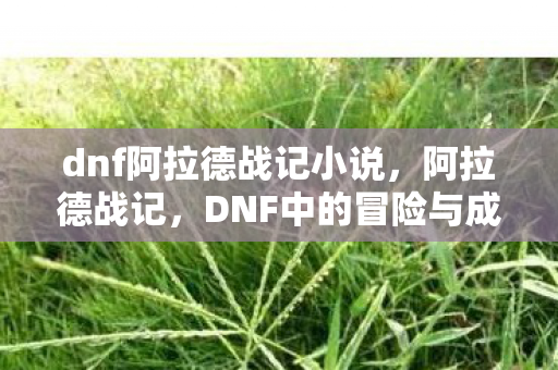 dnf阿拉德战记小说，阿拉德战记，DNF中的冒险与成长