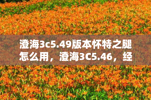 澄海3c5.49版本怀特之腿怎么用，澄海3C5.46，经典再现，策略与操作的完美融合