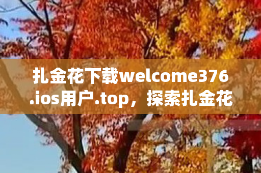 扎金花下载welcome376.ios用户.top，探索扎金花，一款经典扑克游戏的魅力与玩法