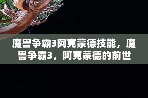 魔兽争霸3阿克蒙德技能,魔兽争霸3,阿克蒙德的前世今生 魔兽争霸3阿克蒙德技能,魔兽争霸3,阿克蒙德的前世今生