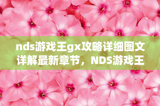 nds游戏王gx攻略详细图文详解最新章节，NDS游戏王GX攻略，成为决斗王的必经之路