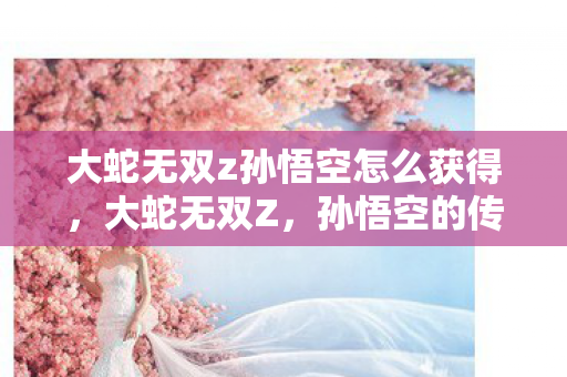 大蛇无双z孙悟空怎么获得，大蛇无双Z，孙悟空的传奇之旅