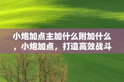 小炮加点主加什么附加什么,小炮加点,打造高效战斗力的策略指南 小炮加点主加什么附加什么,小炮加点,打造高效战斗力的策略指南