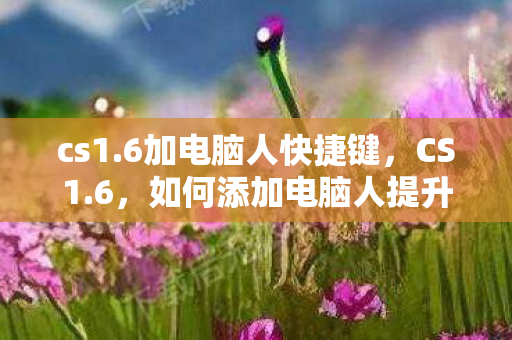 cs1.6加电脑人快捷键，CS1.6，如何添加电脑人提升游戏体验
