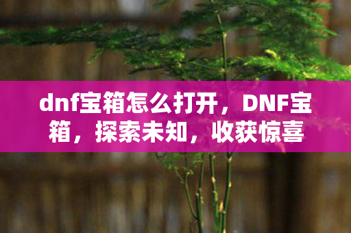dnf宝箱怎么打开，DNF宝箱，探索未知，收获惊喜