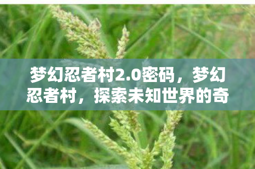 梦幻忍者村2.0密码，梦幻忍者村，探索未知世界的奇妙之旅