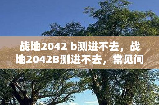 战地2042 b测进不去，战地2042B测进不去，常见问题及解决方案