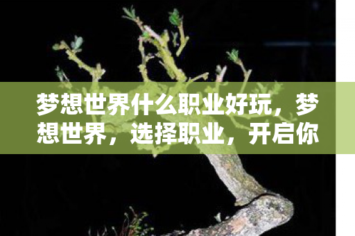 梦想世界什么职业好玩,梦想世界,选择职业,开启你的冒险之旅 梦想世界什么职业好玩,梦想世界,选择职业,开启你的冒险之旅
