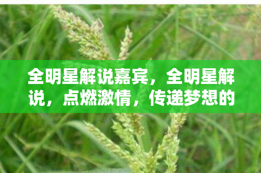 全明星解说嘉宾,全明星解说,点燃激情,传递梦想的舞台 全明星解说嘉宾,全明星解说,点燃激情,传递梦想的舞台