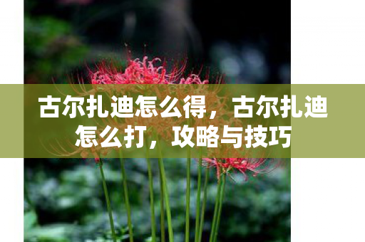 古尔扎迪怎么得,古尔扎迪怎么打,攻略与技巧 古尔扎迪怎么得,古尔扎迪怎么打,攻略与技巧