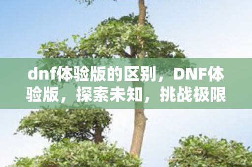 dnf体验版的区别,DNF体验版,探索未知,挑战极限 dnf体验版的区别,DNF体验版,探索未知,挑战极限