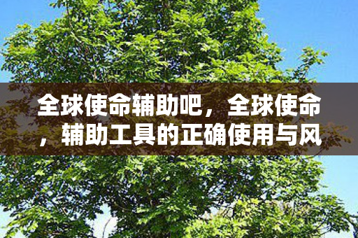 全球使命辅助吧,全球使命,辅助工具的正确使用与风险规避 全球使命辅助吧,全球使命,辅助工具的正确使用与风险规避