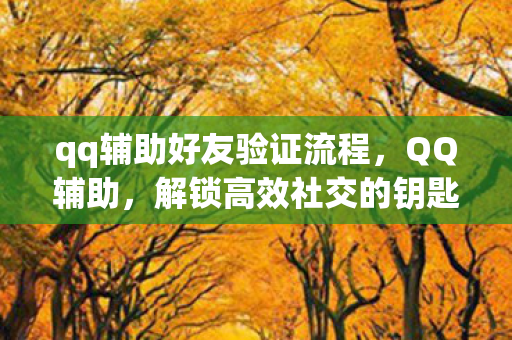qq辅助好友验证流程,QQ辅助,解锁高效社交的钥匙? qq辅助好友验证流程,QQ辅助,解锁高效社交的钥匙?