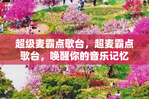 超级麦霸点歌台，超麦霸点歌台，唤醒你的音乐记忆