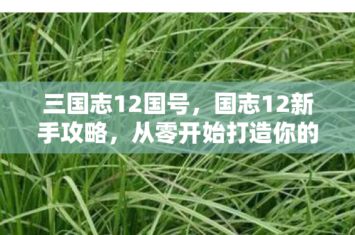 三国志12国号,国志12新手攻略,从零开始打造你的王朝 三国志12国号,国志12新手攻略,从零开始打造你的王朝