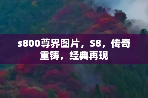 s800尊界图片,S8,传奇重铸,经典再现 s800尊界图片,S8,传奇重铸,经典再现