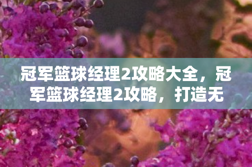 冠军篮球经理2攻略大全,冠军篮球经理2攻略,打造无敌球队,赢取联赛冠军 冠军篮球经理2攻略大全,冠军篮球经理2攻略,打造无敌球队,赢取联赛冠军