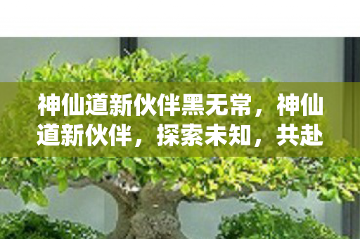 神仙道新伙伴黑无常，神仙道新伙伴，探索未知，共赴仙境