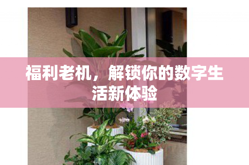 福利老机，解锁你的数字生活新体验