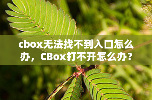 cbox无法找不到入口怎么办，CBox打不开怎么办？