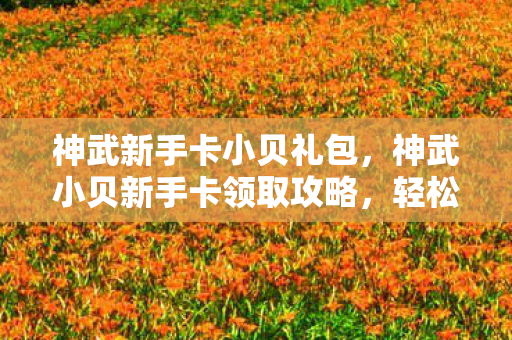 神武新手卡小贝礼包，神武小贝新手卡领取攻略，轻松上手，玩转神武世界