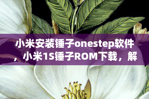 小米安装锤子onestep软件,小米1S锤子ROM下载,解锁新体验,打造个性化手机 小米安装锤子onestep软件,小米1S锤子ROM下载,解锁新体验,打造个性化手机