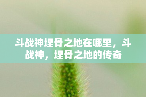 斗战神埋骨之地在哪里，斗战神，埋骨之地的传奇