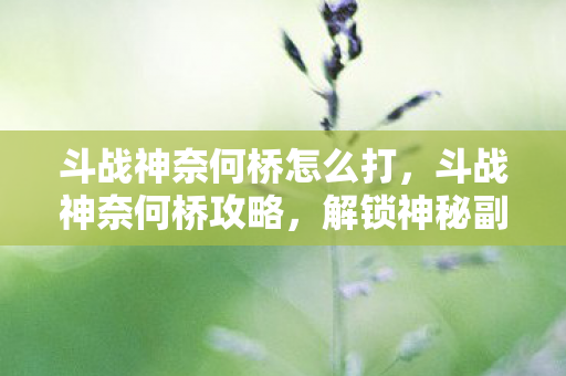 斗战神奈何桥怎么打，斗战神奈何桥攻略，解锁神秘副本，挑战终极BOSS