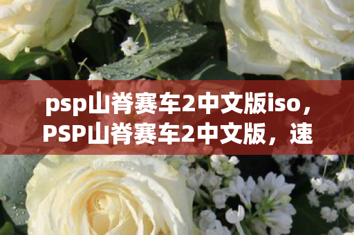 psp山脊赛车2中文版iso,PSP山脊赛车2中文版,速度与激情的掌上盛宴 psp山脊赛车2中文版iso,PSP山脊赛车2中文版,速度与激情的掌上盛宴