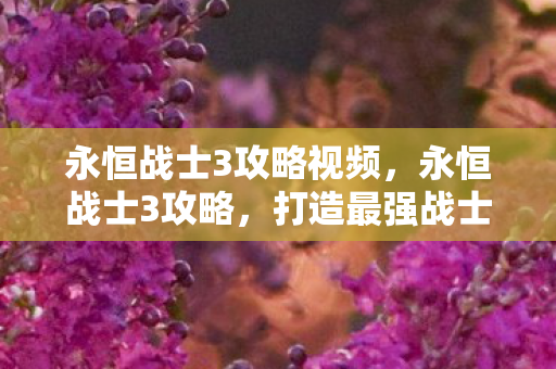 永恒战士3攻略视频，永恒战士3攻略，打造最强战士的秘诀