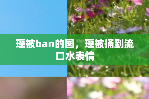瑶被ban的图，瑶被捅到流口水表情