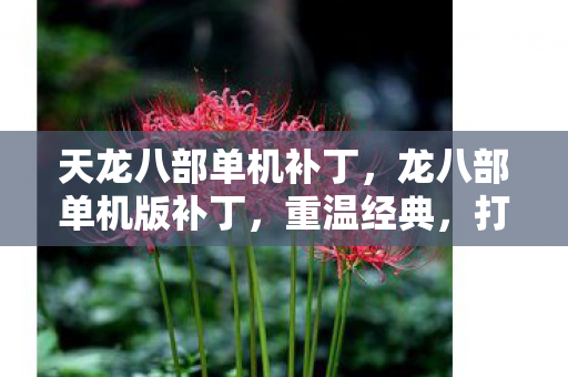 天龙八部单机补丁，龙八部单机版补丁，重温经典，打造个性化游戏体验