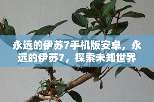 永远的伊苏7手机版安卓,永远的伊苏7,探索未知世界的奇幻之旅 永远的伊苏7手机版安卓,永远的伊苏7,探索未知世界的奇幻之旅